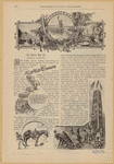 Image ID 800282
