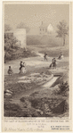 Image ID 800296