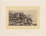Image ID 800298
