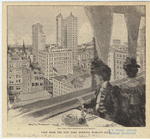 Image ID 800313