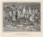Image ID 800392