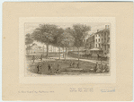 Image ID 800442