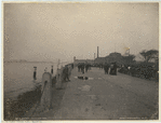 Image ID 800447