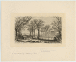 Image ID 800454