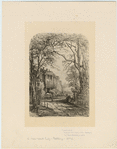 Image ID 800456