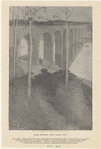 Image ID 800517