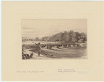 Image ID 800525