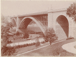 Image ID 800527