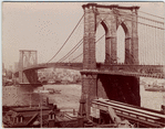 Image ID 800537