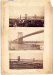 Image ID 800542
