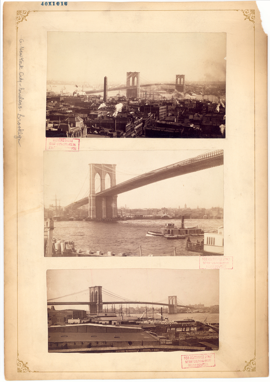 Image ID 800542
