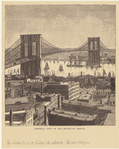 Image ID 800545