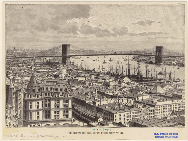 Image ID 800546
