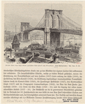 Image ID 800547