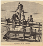 Image ID 800552