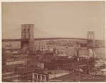 Image ID 800556