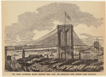 Image ID 800557