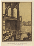 Image ID 800559