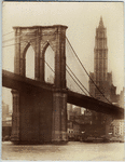 Image ID 800560