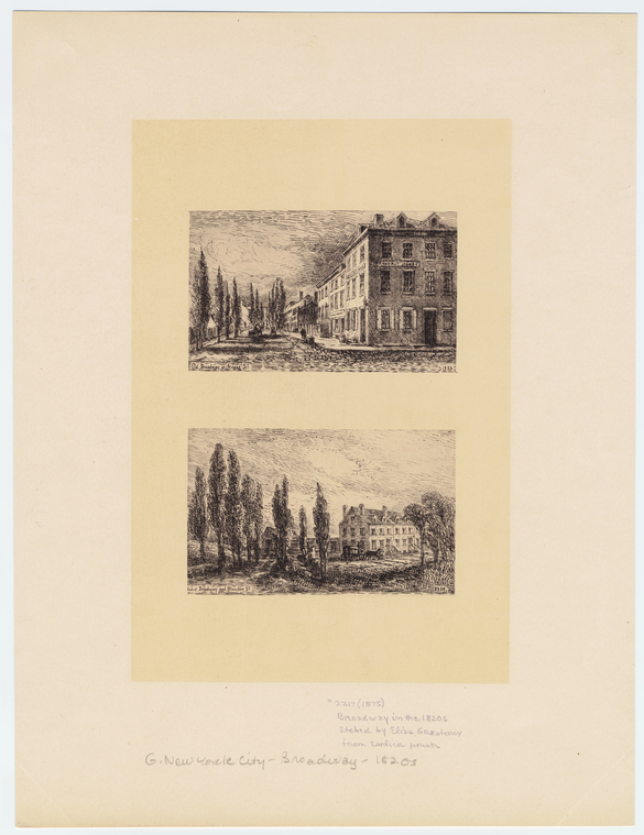 Image ID 800605
