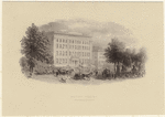 Image ID 800635