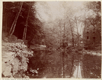 Image ID 800640
