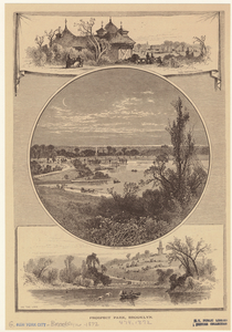 Image ID 800643