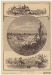 Image ID 800643