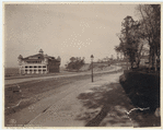 Image ID 800648