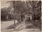 Image ID 800650