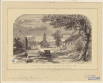 Image ID 800659