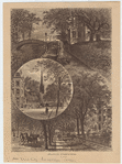 Image ID 800662