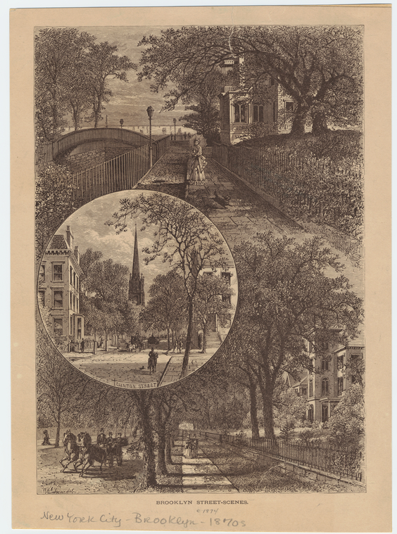 Image ID 800662
