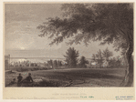 Image ID 800663