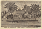 Image ID 800667