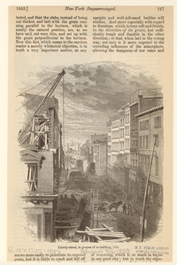 Image ID 800711