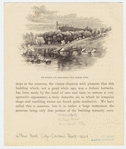 Image ID 800719