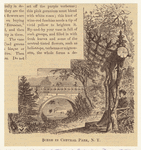 Image ID 800720