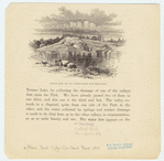 Image ID 800733