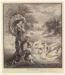 Image ID 800739