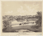 Image ID 800742
