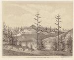Image ID 800744
