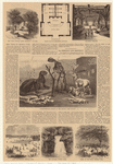 Image ID 800752