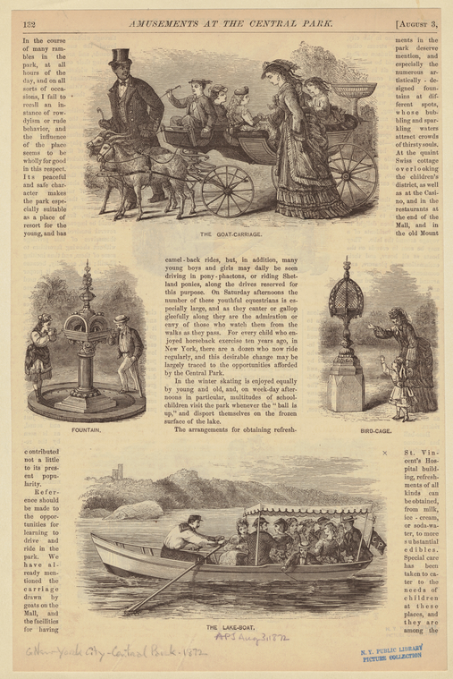 Image ID 800754
