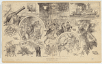 Image ID 800769