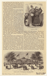 Image ID 800784