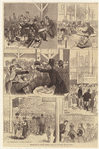 Image ID 800797