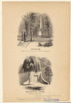 Image ID 800822