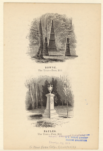 Image ID 800824