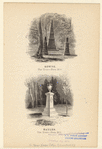 Image ID 800824